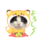 三兄弟と愉快な保護猫達シリーズ④（個別スタンプ：12）