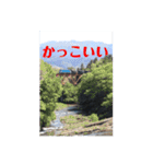 TUJの使える24個スタンプ（個別スタンプ：15）