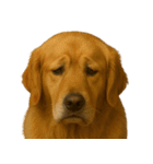 がっかり顔（犬編）（個別スタンプ：1）