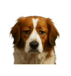 がっかり顔（犬編）（個別スタンプ：4）