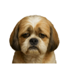 がっかり顔（犬編）（個別スタンプ：5）