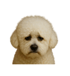 がっかり顔（犬編）（個別スタンプ：28）