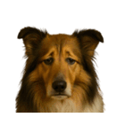 がっかり顔（犬編）（個別スタンプ：38）
