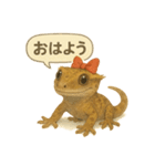 赤リボンのクレステッドゲッコー（個別スタンプ：9）