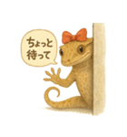 赤リボンのクレステッドゲッコー（個別スタンプ：38）