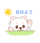ホワイト柴犬「マランちゃん」は毎日楽しい（個別スタンプ：1）