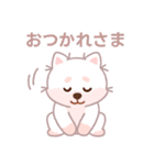 ホワイト柴犬「マランちゃん」は毎日楽しい（個別スタンプ：4）
