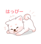 ホワイト柴犬「マランちゃん」は毎日楽しい（個別スタンプ：11）