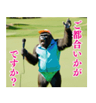 ゴリラのゴルファー3【毎日使える】（個別スタンプ：1）