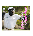 ゴリラのゴルファー3【毎日使える】（個別スタンプ：5）