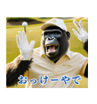 ゴリラのゴルファー3【毎日使える】（個別スタンプ：6）