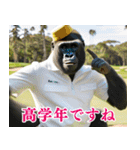 ゴリラのゴルファー3【毎日使える】（個別スタンプ：14）
