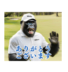 ゴリラのゴルファー3【毎日使える】（個別スタンプ：17）