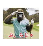 ゴリラのゴルファー3【毎日使える】（個別スタンプ：25）