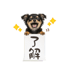 ゆるかわ！チワワの日常スタンプ（個別スタンプ：5）