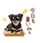 ゆるかわ！チワワの日常スタンプ（個別スタンプ：8）