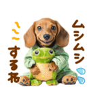梅雨初夏♡ダックス（個別スタンプ：11）