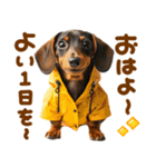 梅雨初夏♡ダックス（個別スタンプ：13）