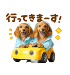 梅雨初夏♡ダックス（個別スタンプ：17）