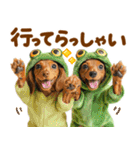 梅雨初夏♡ダックス（個別スタンプ：18）