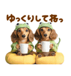 梅雨初夏♡ダックス（個別スタンプ：26）