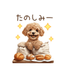 トイプードルのパン屋さん（個別スタンプ：23）