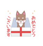 ちびハスキー15【敬語】（個別スタンプ：12）
