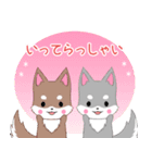 飛び出す！ちびハスキー15【敬語】（個別スタンプ：21）