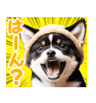 可愛く煽る柴犬☆黒（個別スタンプ：3）