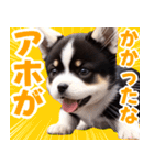可愛く煽る柴犬☆黒（個別スタンプ：7）