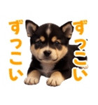 可愛く煽る柴犬☆黒（個別スタンプ：25）