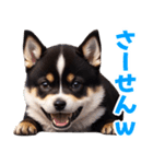 可愛く煽る柴犬☆黒（個別スタンプ：27）