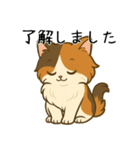 おっとり三毛猫の気まぐれスタンプ(日常)（個別スタンプ：3）