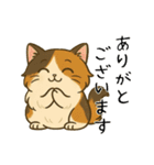 おっとり三毛猫の気まぐれスタンプ(日常)（個別スタンプ：5）