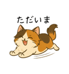 おっとり三毛猫の気まぐれスタンプ(日常)（個別スタンプ：7）