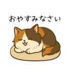おっとり三毛猫の気まぐれスタンプ(日常)（個別スタンプ：8）