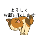 おっとり三毛猫の気まぐれスタンプ(日常)（個別スタンプ：9）
