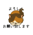 おっとり三毛猫の気まぐれスタンプ(日常)（個別スタンプ：10）
