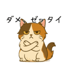 おっとり三毛猫の気まぐれスタンプ(日常)（個別スタンプ：12）