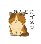 おっとり三毛猫の気まぐれスタンプ(日常)（個別スタンプ：13）