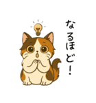 おっとり三毛猫の気まぐれスタンプ(日常)（個別スタンプ：15）