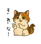 おっとり三毛猫の気まぐれスタンプ(日常)（個別スタンプ：16）