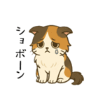 おっとり三毛猫の気まぐれスタンプ(日常)（個別スタンプ：23）