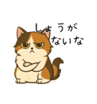 おっとり三毛猫の気まぐれスタンプ(日常)（個別スタンプ：29）