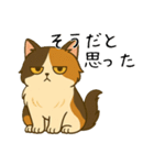 おっとり三毛猫の気まぐれスタンプ(日常)（個別スタンプ：30）