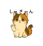 おっとり三毛猫の気まぐれスタンプ(日常)（個別スタンプ：32）