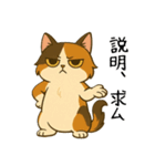 おっとり三毛猫の気まぐれスタンプ(日常)（個別スタンプ：34）