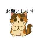 おっとり三毛猫の気まぐれスタンプ(日常)（個別スタンプ：35）