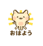 ネコクラゲのふしぎスタンプ（個別スタンプ：1）