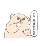 純粋な目をしたくま3（個別スタンプ：1）